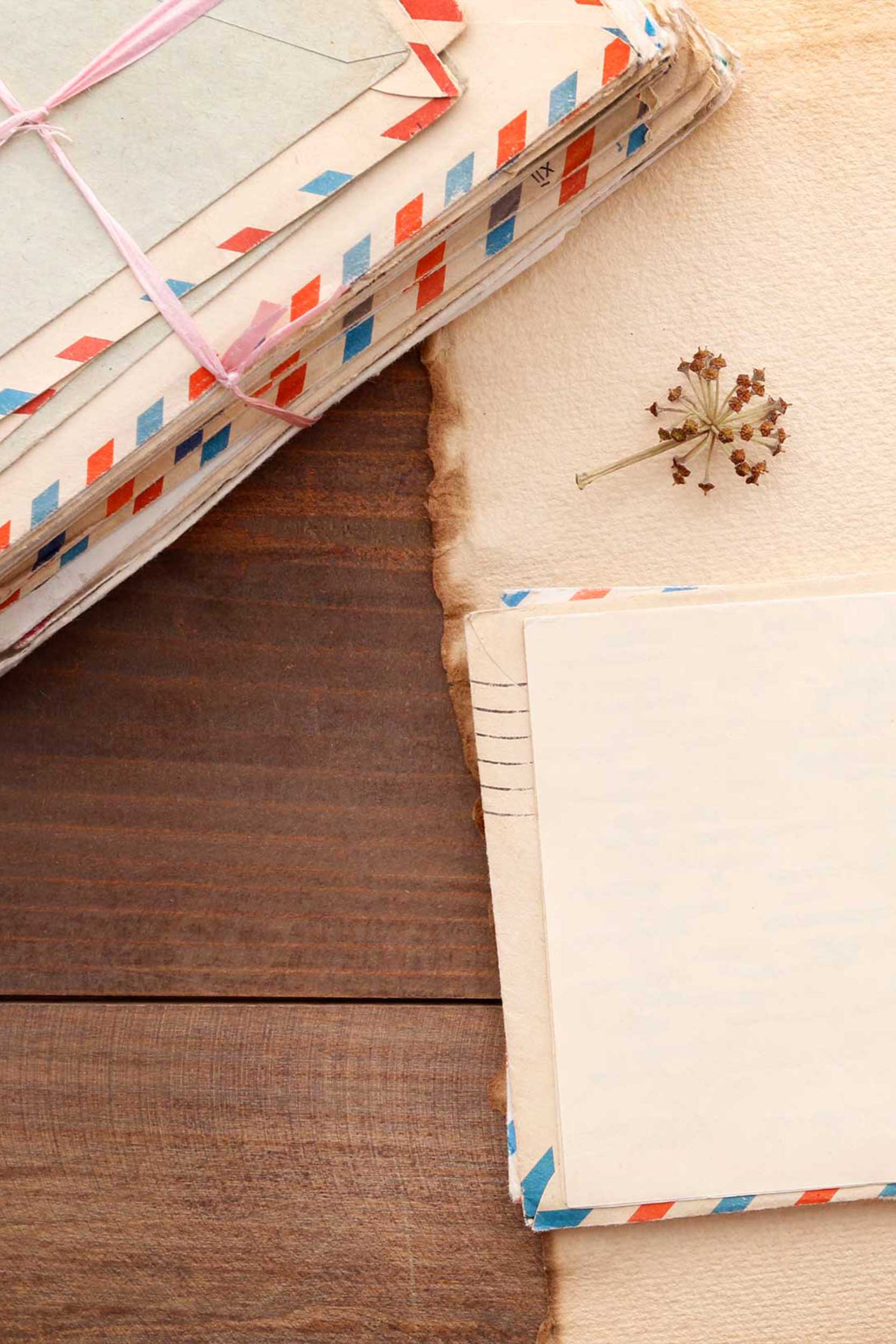 Alicia_Pointner_newsletter